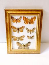 Vintage 1974 butterfly for sale  Waynesboro