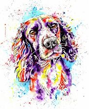 Spaniel springer cocker d'occasion  Expédié en Belgium