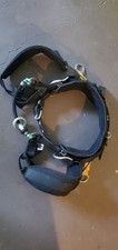 Buckingham buckcat climbing for sale  Arcata