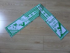 Saint etienne echarpe d'occasion  Haubourdin