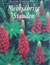 Mehrjährige stauden kleine gebraucht kaufen  Kollmar