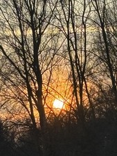 Marien energien gebraucht kaufen  Oranienburg