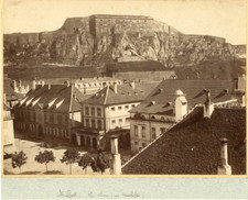 Belfort lion vintage d'occasion  Pagny-sur-Moselle