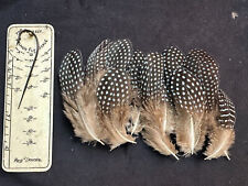 Kenya crested guinea for sale  Oakville