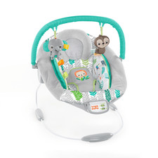 Brightstarts babywippe babysch gebraucht kaufen  Berlin