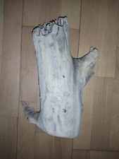 Schwemmholz treibholz dicker gebraucht kaufen  Duisburg