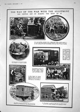 Old 1918 allotment for sale Old 1918 allotment for sale  UK