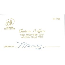 Chateau coiffure salon d'occasion  Expédié en Belgium