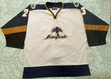 Sioux falls stampede for sale  Marion