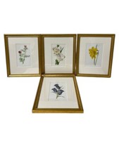 Set framed botanical for sale  Brooklyn