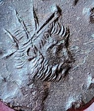 Monete romane antiche usato Monete romane antiche usato  Latina