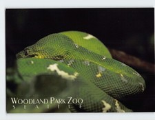 Postcard emerald tree for sale  Stevens Point
