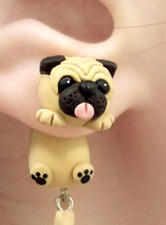 Cute pug dog for sale  Cape Coral