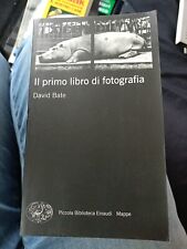 David bate primo usato  Chioggia