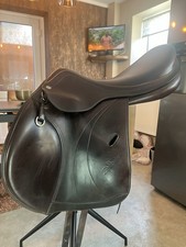 Gorgeous equipe expression for sale Gorgeous equipe expression for sale  EXETER