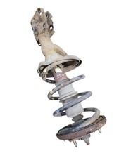 Passenger right strut for sale  Glen Flora