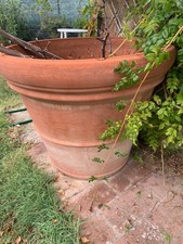 Vasi grandi terracotta usato  Castelnuovo Berardenga
