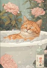 Japanese ginger cat for sale  DUNSTABLE