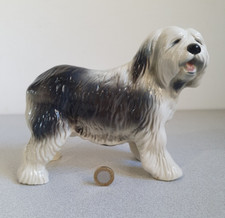 Old english sheepdog for sale  CHELTENHAM
