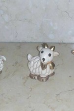 Capra mini animali usato  Scafati