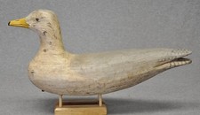 Full size seagull for sale  Monroe