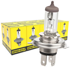 10x brehma lampen gebraucht kaufen  Gräfenberg