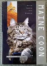 Maine coon sluiter for sale  UK