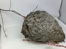 Really nice bald for sale  Somerset