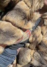 Fuchs pelz pelzmantel gebraucht kaufen  Holdorf