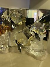 Collezione swarovski wonders usato  Palermo