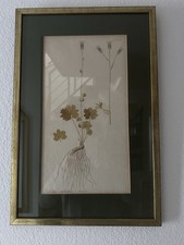 Antiker gerahmter kunstdruck gebraucht kaufen  Berlin