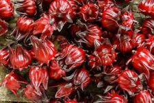 Bangladeshi seeds jamaican for sale  LONDON