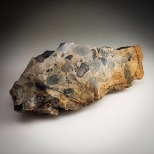 Herefordshire puddingstone 877 for sale  UK