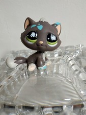 Petshop chaton messiest d'occasion Petshop chaton messiest d'occasion  Saint-Malo