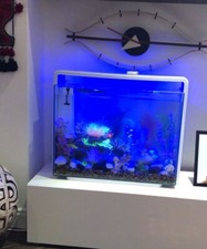 Home aqua scaping for sale  WEMBLEY