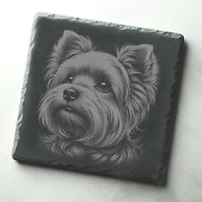 Yorkshire terrier dog for sale  STOCKTON-ON-TEES