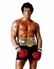 Sylvester stallone cool for sale  USA