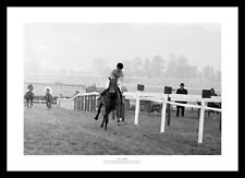 Arkle 1966 cheltenham for sale  FARNHAM