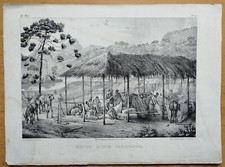 Repos caravanne brazil d'occasion  Expédié en Belgium