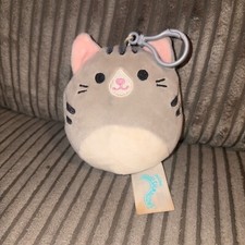 Squishmallow tally cat for sale  HINCKLEY