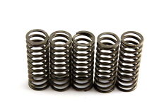 Clutch spring set for sale  Lake Havasu City