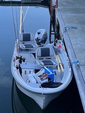 terhi for sale  UK