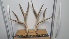 173 nice 5x5 for sale  Florence