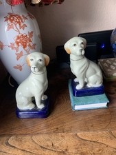 Staffordshire labrador dogs for sale  WOLVERHAMPTON