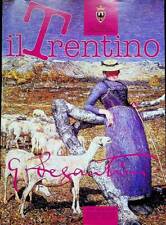 Segantini trentino anno usato  Trento