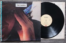 Pino daniele vai usato  Urbino