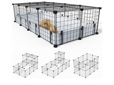 Bucatstate guinea pigs for sale  WOLVERHAMPTON