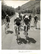 1954 castell arquato usato  Milano