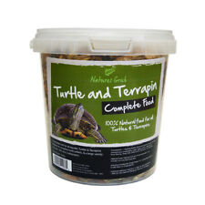 Reptile turtle terrapin for sale  FAKENHAM
