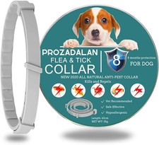 Collare antipulci cane usato  Roma